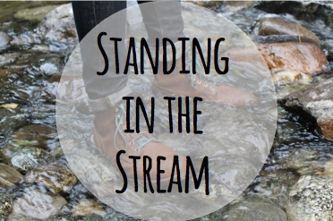 Standing in the Stream